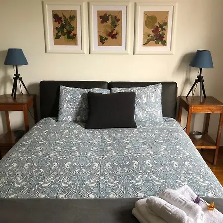 Apartment Your In *